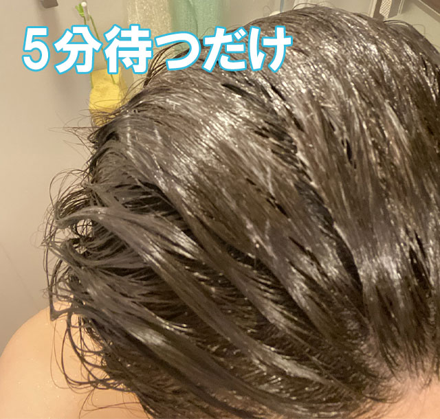 shampoo2